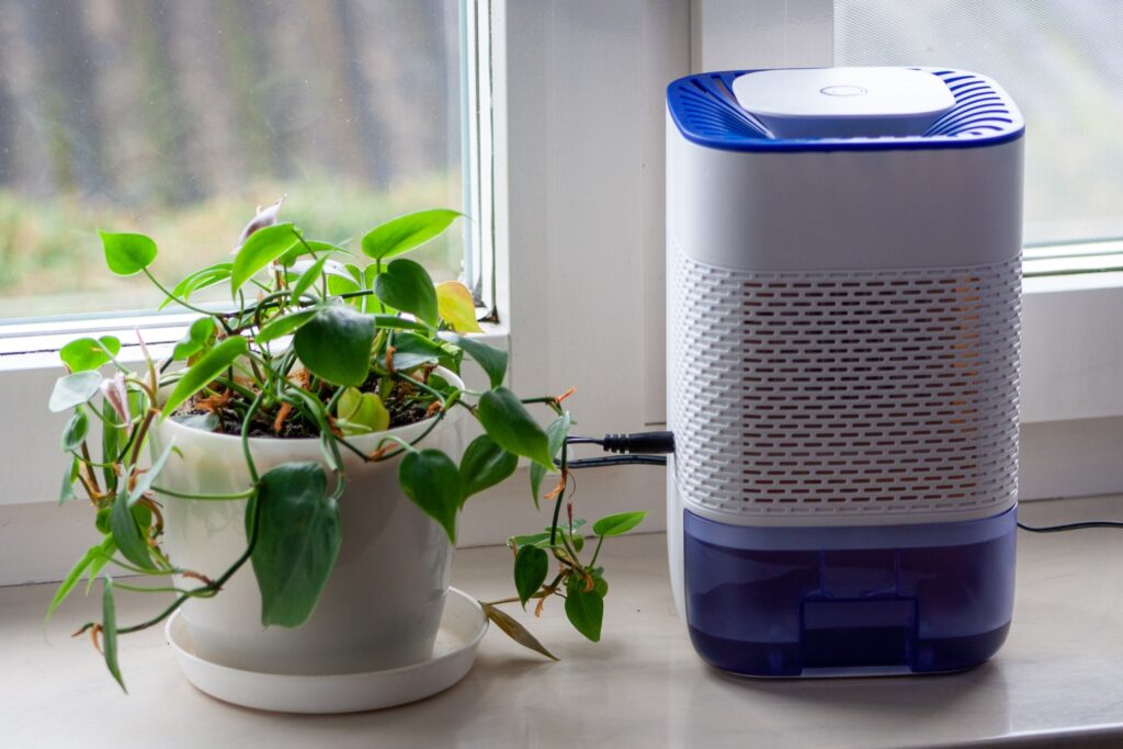 Installing a Dehumidifier